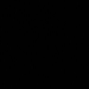 Meet your Posher, Junie